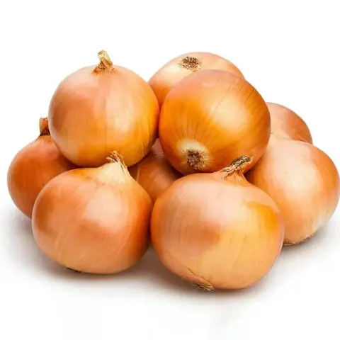 PON50 - COOKING ONION 50LB
