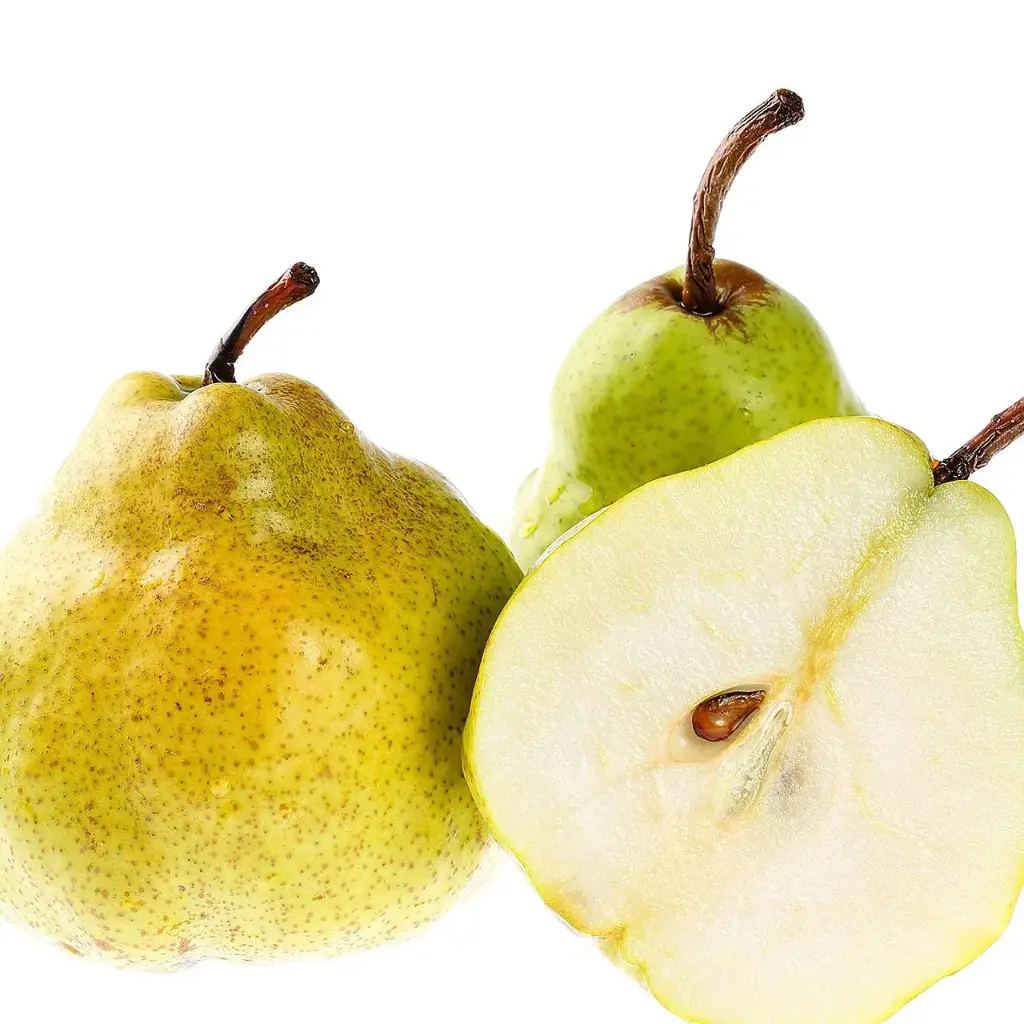 Pear Anjou Pear Anjou US #1 - WAS (1 x 70)