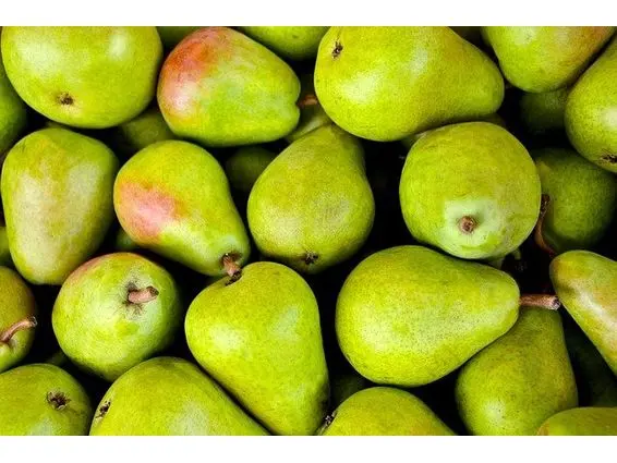 Fresh Anjou Pear US #1 -  (1 x 110)- Case