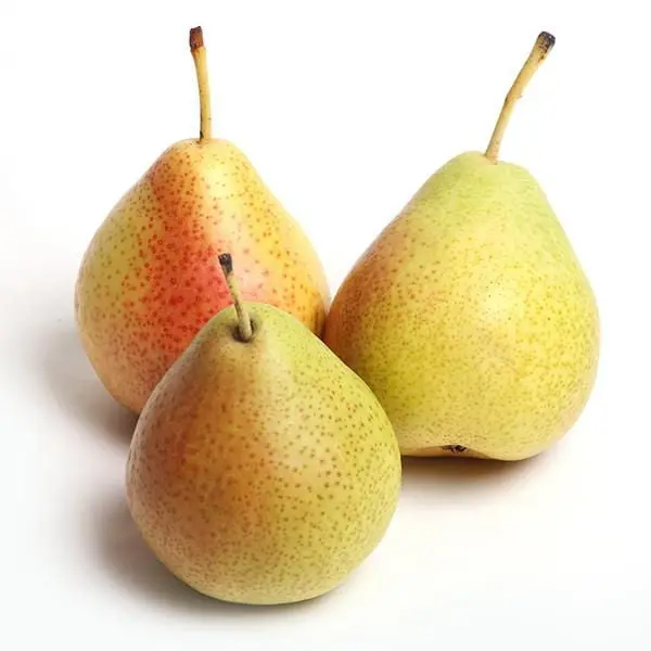 Pear Bartlett Pear Bartlett US #1 - WAS (1 x 110)