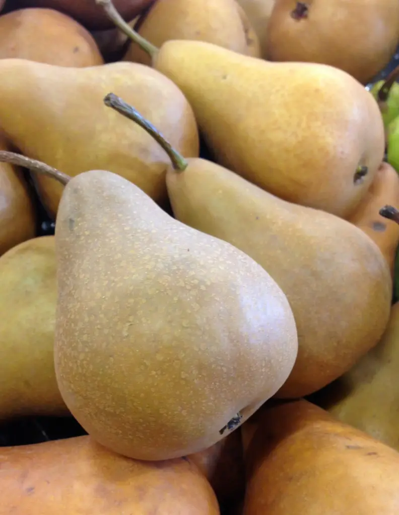 Pear Bosc Pear BOSC US #1 - WAS (1 x 110)