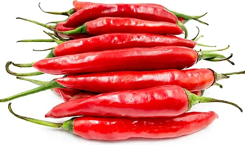 Fresh Hot Pepper Red Hot Chilli - SPA (1 x 3kg)- Case