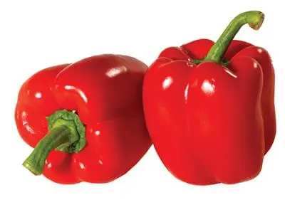 Pepper Hot House Red Pepper Red - SPA (1 x 5kg)