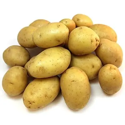 Potato Mini Potato Mini Yellow Gold - CA (16 x 1.5lb)