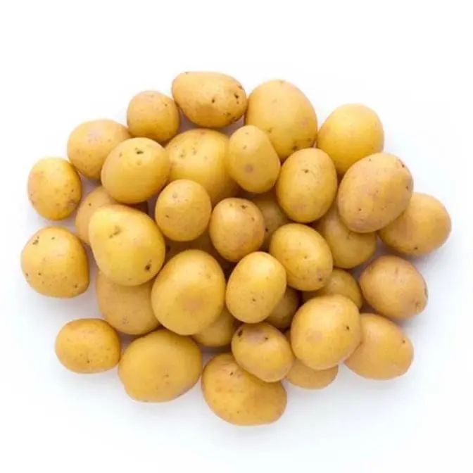 Potato Mini Potato Yellow Gold - WAS (1 x 50lb)
