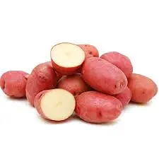 Potato Red Potato Red ON (1 x 50lb)