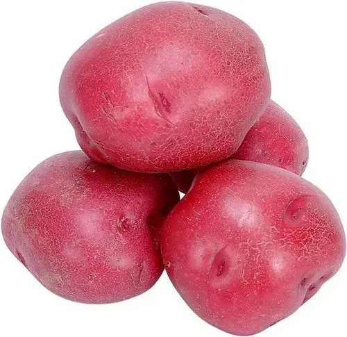 Potato Red Potato Red PEI (10 x 5lb)
