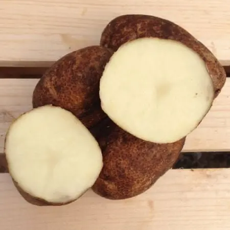 Potato Russet Potato Russet 1x50LB