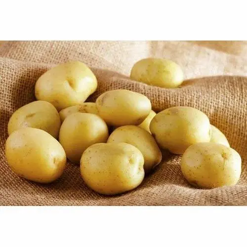 Potato White Potato White Large Bag - CA (1 x 50lb)