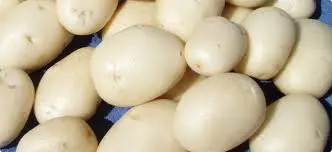 Potato White Potato White Gwilly Large Bag - ON (1 x 10lb)