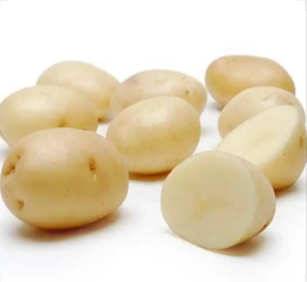Potato White Potato White Large- WAS (1 x 50lb)