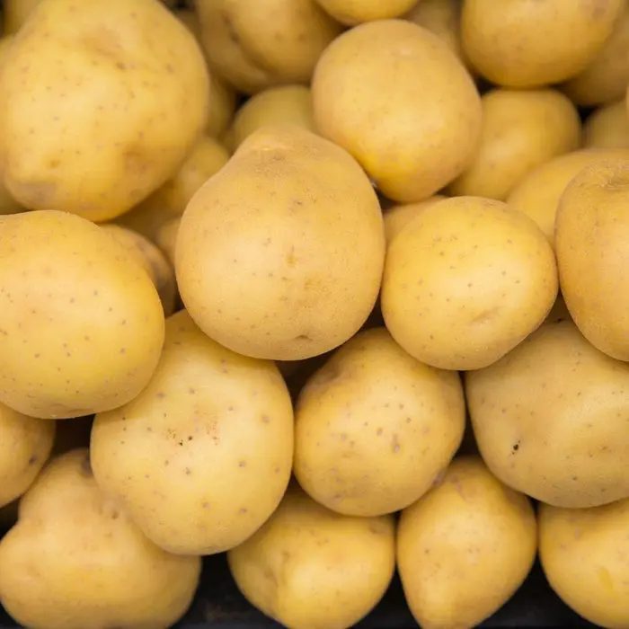 Potato Yellow Large - CA (1 x 50lb)