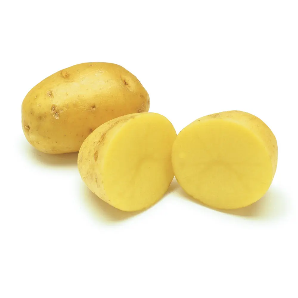 Potato Yukon Potato Yellow Gwilly - ON (1 x 10lb)