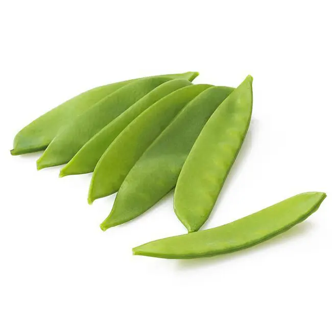 Snow Pea Snow - CHI (1 x 10lb)