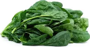 [PROD027-24] Fresh Spinach Bunches - 24 Ct - Case