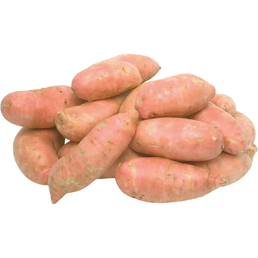 Sweet Potato Sweet Potato #1 - USA (1 x 40lb)