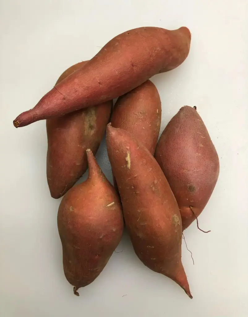 Sweet Potato Sweet Potato USA (12 x 3lb)S