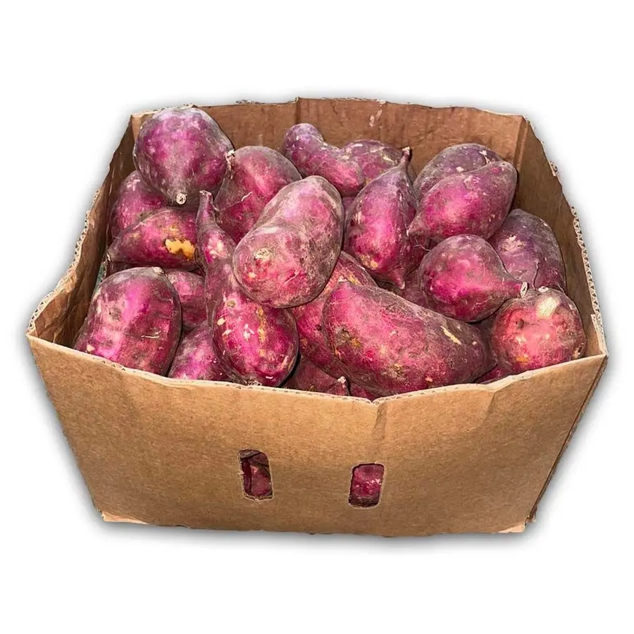 Sweet Potato Sweet Potato Oriental - USA (1 x 40lb)