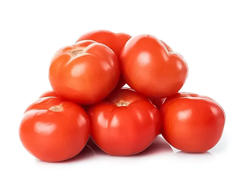 Tomato Field - Tomato Field - MX (8 x 3lb)