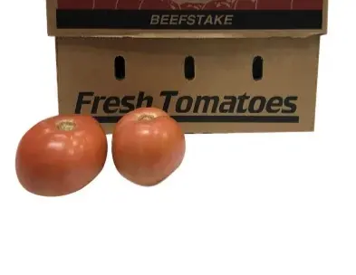 Tomato Hot House Beef Tomato XXL - ON (1 x 15lb)