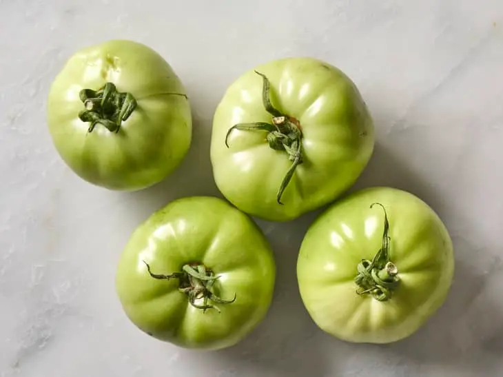Tomato Mature Green Tomato GG - MX (5 x 6)