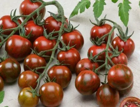 Tomato Specialty Tomato Brown - ON (10 x 1lb)