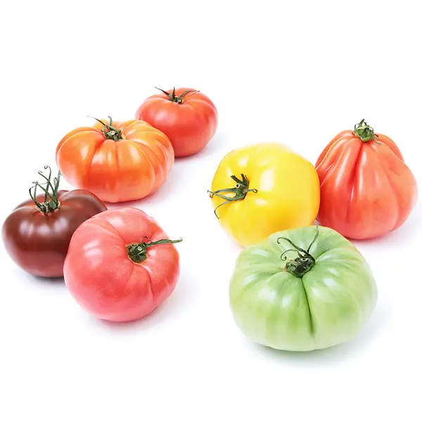 Tomato Specialty Tomato Heirloom - ON (12 x 2)