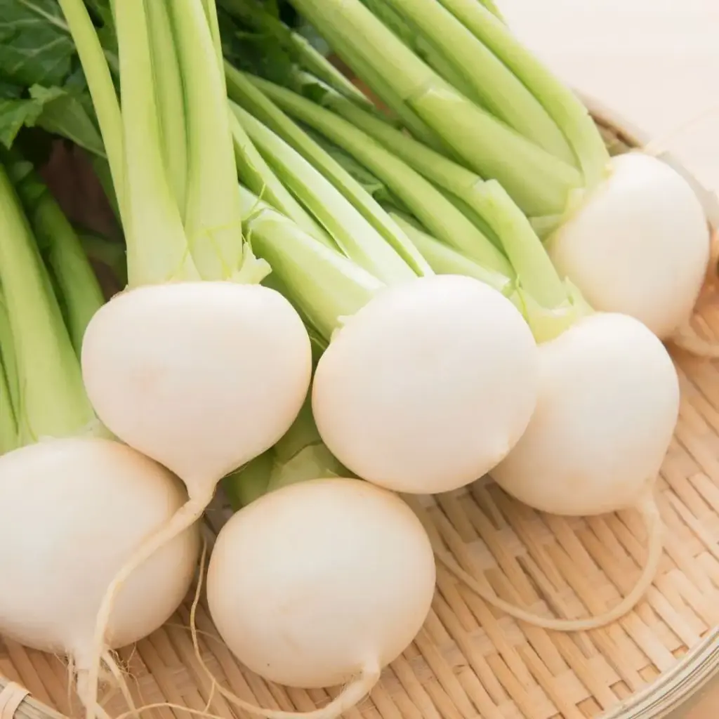 Turnip - Turnip White - ON (1 x 25lb)