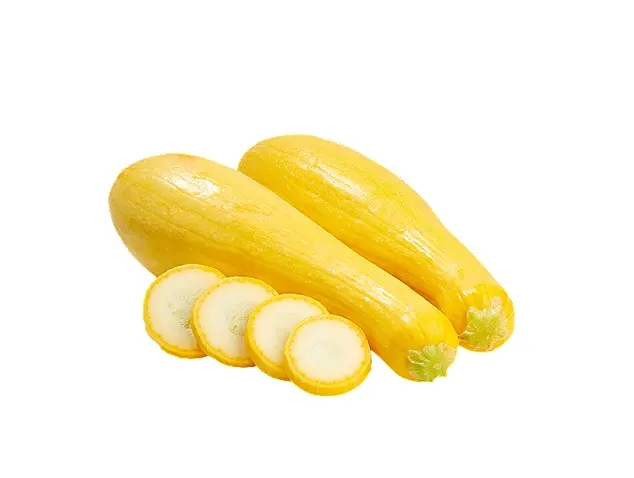 Zucchini Zucchini Yellow Sunfed FCY - MX (1 x 1)