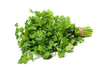 Coriander- 1x1 bunch