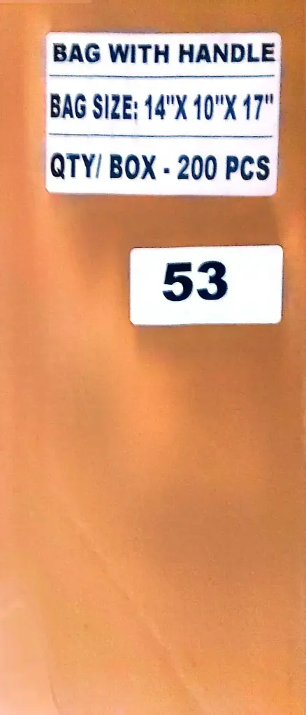 Bag With Handle 14x10x17-1x200 PC