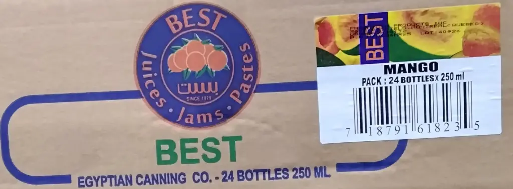 Best Mango Juice 24x250ML