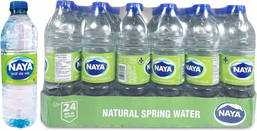 Naya Water 1x24 -600Ml