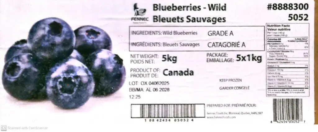 Blueberries Wild-1x5Kg