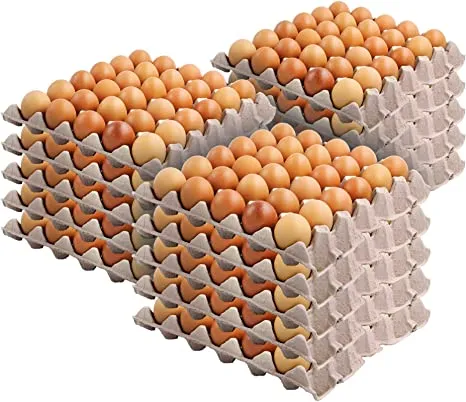 Fresh Eggs - Organic - 15 Dozen