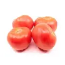 PTOM56 - Tomato 5x6-22-25Lb