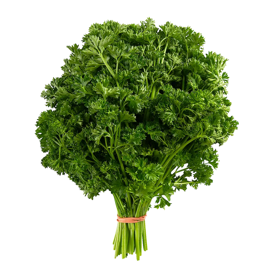 ON V Parsley Curly - TX (1 x 1 )
