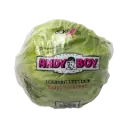 Andy Boy Lettuce-1x24