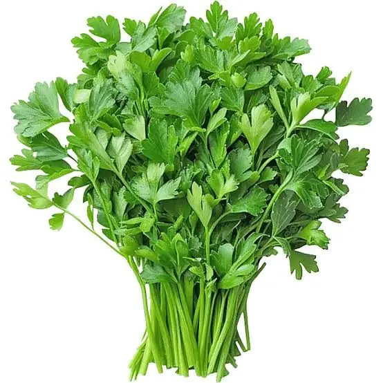 PCOR12 - Coriander- 1 x12- Bunch