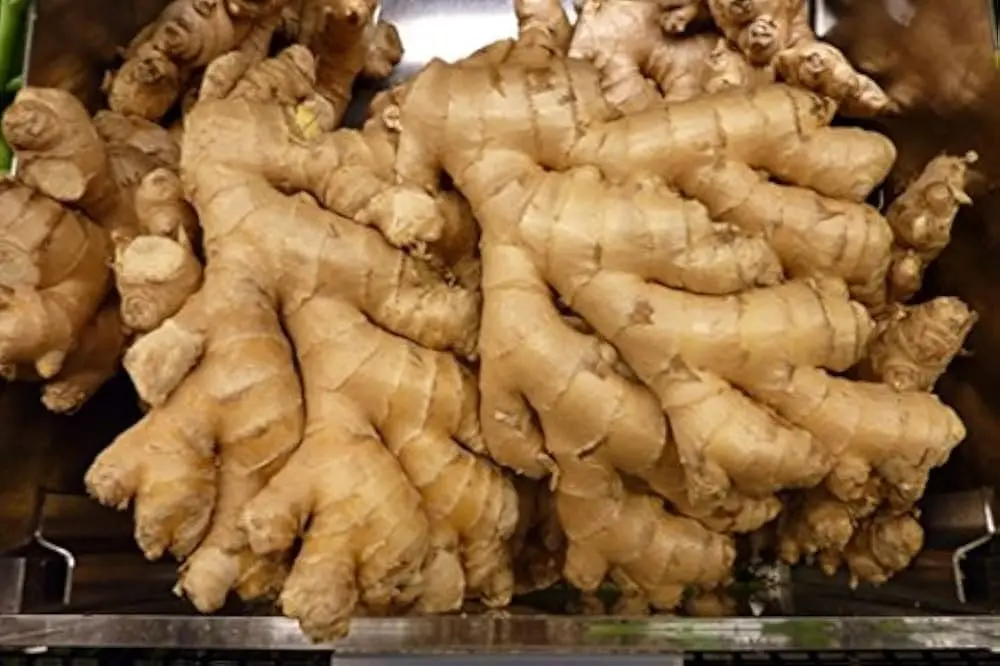PGIN1 - Organic Ginger 1LB