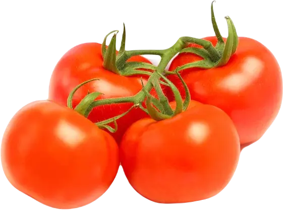 PTOMC - Tomato Cluster