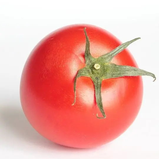 Salad Tomato-6x7 -20-25 Lb