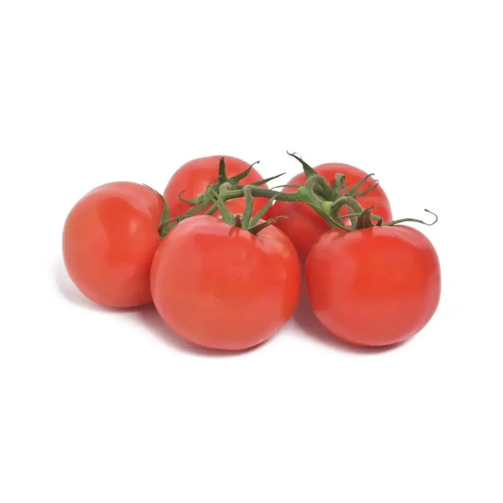 Tomato 5x6-1Lb