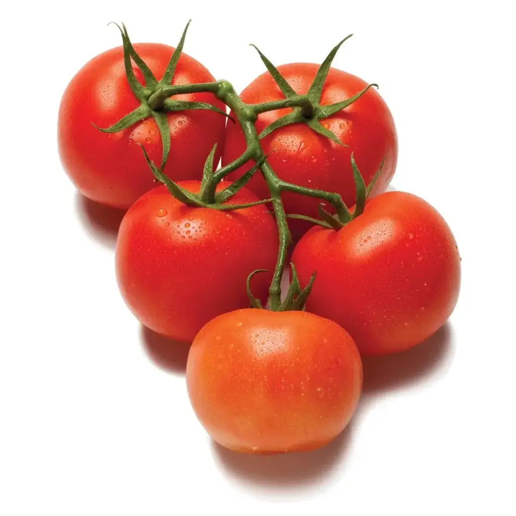 PTOM67 - Salad Tomato - 6x7 -1 Lb