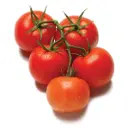 PTOM67 - Salad Tomato - 6x7 -1 Lb
