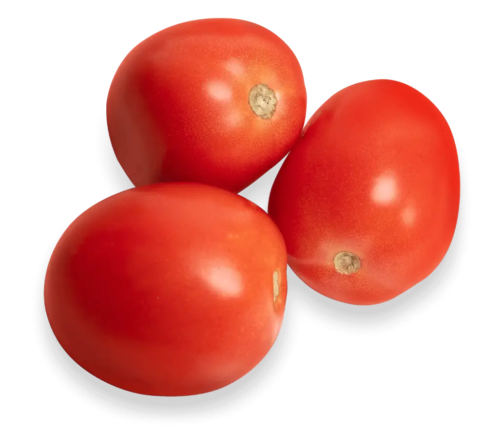 Tomato Roma USA -1 x 22-25Lb