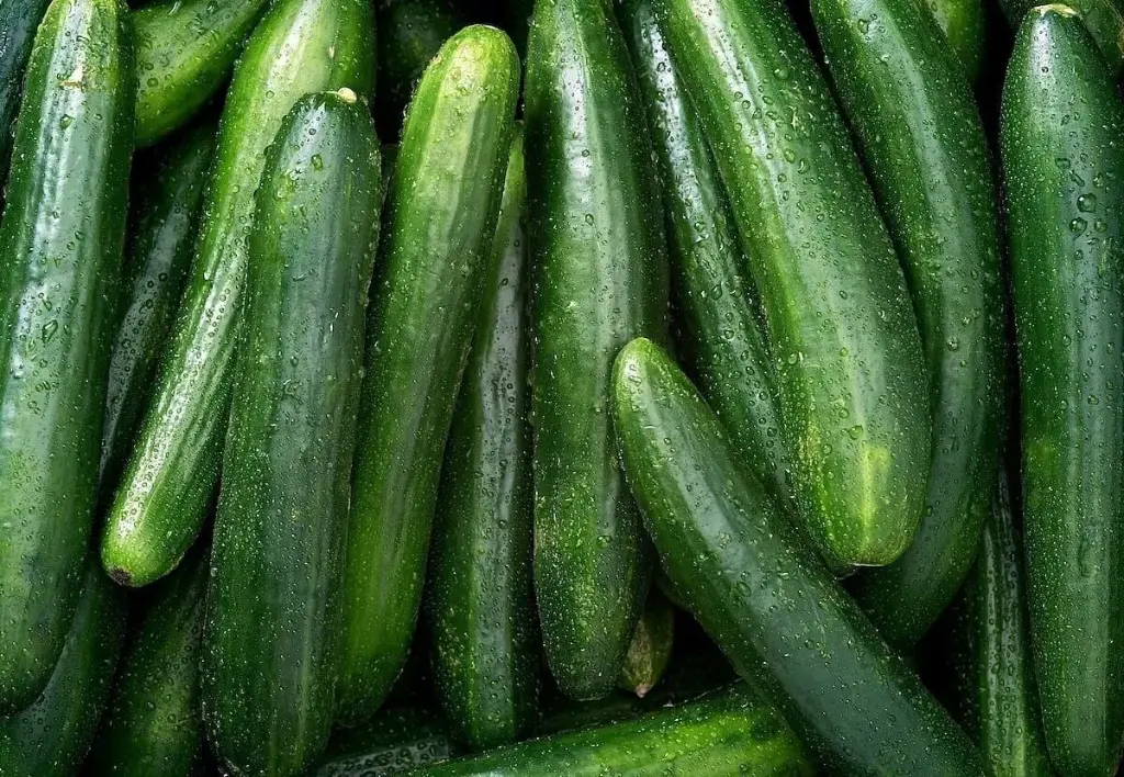 PCUCXL - Cucumber -XL - 1