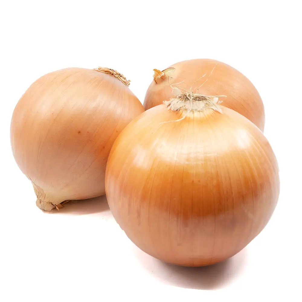 ONION COLOSSAL-1x50Lb