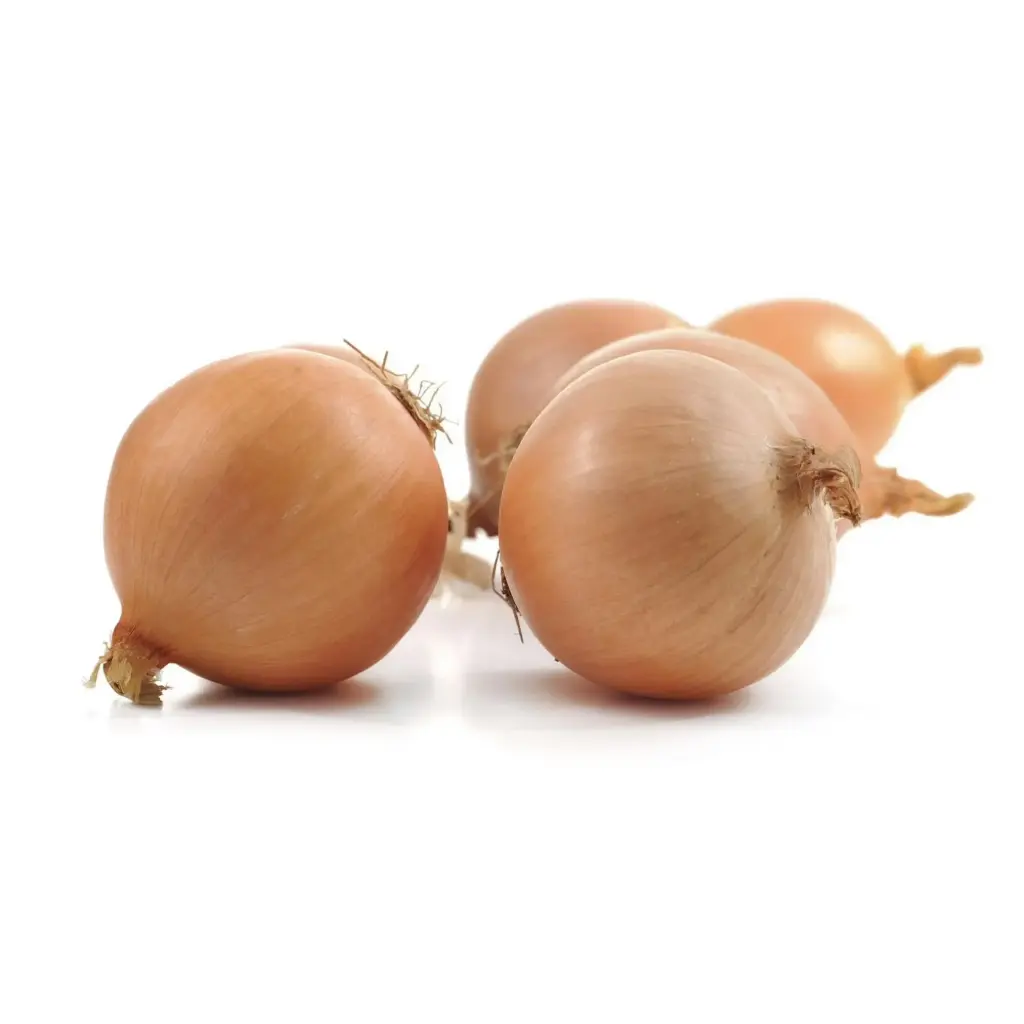 Yellow Onions -Medium-1 x 10Lb