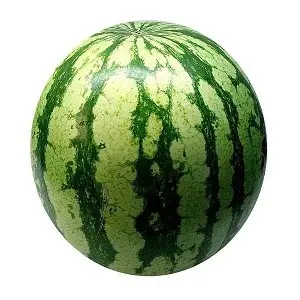Watermelon-ON